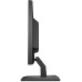 HP P204 LED Display 49.5 cm (19.5") HD+ Flat Black