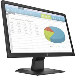 HP P204 LED Display 49.5 cm (19.5") HD+ Flat Black